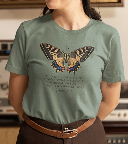 Orange & Blue Butterfly Verse 1 Pet. 2:9