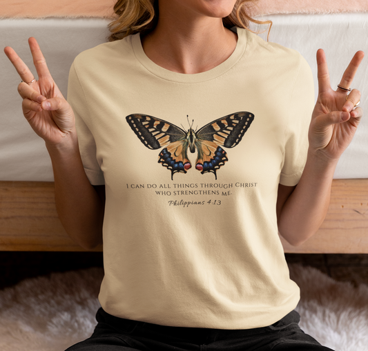 Orange & Blue Butterfly Verse Phil. 4:13