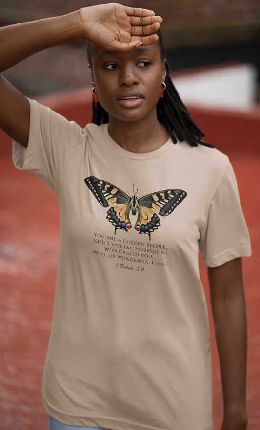Orange & Blue Butterfly Verse 1 Pet. 2:9